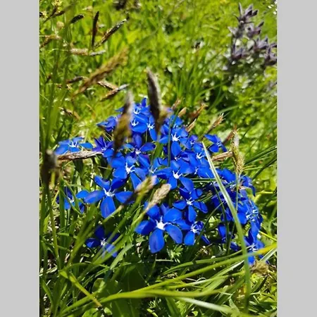 Vakantiehuis Le De Flo Séez